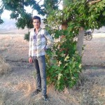 تصویر کاربر با کد 788917