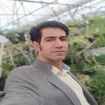 تصویر کاربر با کد 810509