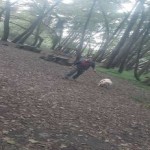 تصویر کاربر با کد 818153