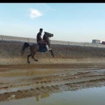 تصویر کاربر با کد 797782
