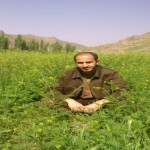 تصویر کاربر با کد 832227