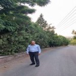 تصویر کاربر با کد 839279