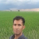 تصویر کاربر با کد 841515