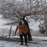 تصویر کاربر با کد 691308