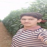 تصویر کاربر با کد 865188
