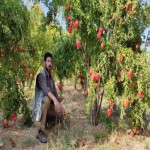 تصویر کاربر با کد 861847