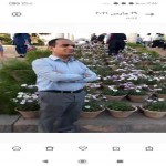 تصویر کاربر با کد 861494