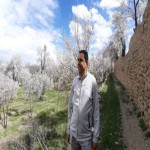 تصویر کاربر با کد 206869