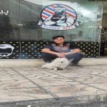 تصویر کاربر با کد 888123