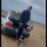 تصویر کاربر با کد 735974