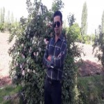 تصویر کاربر با کد 503182