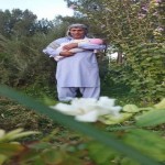 تصویر کاربر با کد 895601