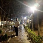 تصویر کاربر با کد 428591
