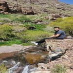 تصویر کاربر با کد 318881