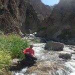 تصویر کاربر با کد 415993