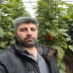 تصویر کاربر با کد 903417