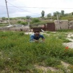 تصویر کاربر با کد 893349