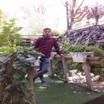تصویر کاربر با کد 900456