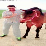 تصویر کاربر با کد 908726