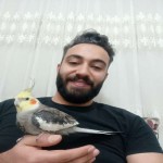 تصویر کاربر با کد 910461