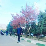 تصویر کاربر با کد 607135