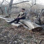 تصویر کاربر با کد 911055