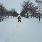 تصویر کاربر با کد 913782