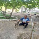 تصویر کاربر با کد 916722