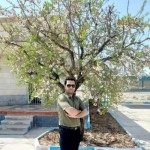 تصویر کاربر با کد 716821