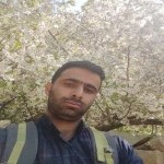 تصویر کاربر با کد 596238