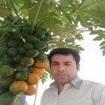 تصویر کاربر با کد 332737