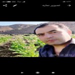 تصویر کاربر با کد 795320