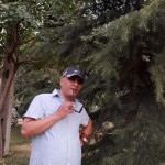 تصویر کاربر با کد 808188