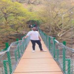 تصویر کاربر با کد 953346