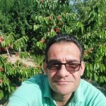 تصویر کاربر با کد 528563