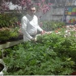 تصویر کاربر با کد 962210