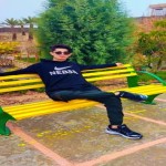 تصویر پروفایل شاهین