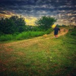 تصویر کاربر با کد 977264