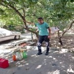 تصویر کاربر با کد 979380