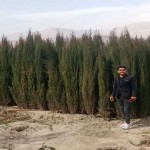 تصویر کاربر با کد 977962