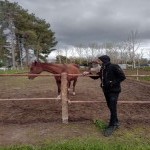 تصویر کاربر با کد 71242