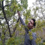 تصویر کاربر با کد 372011