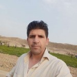 تصویر کاربر با کد 833228