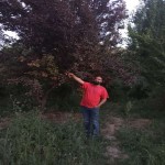 تصویر کاربر با کد 1014293