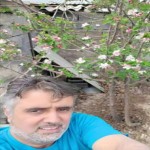 تصویر کاربر با کد 351489