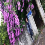 تصویر کاربر با کد 917325