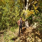 تصویر کاربر با کد 362025
