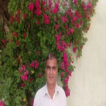 تصویر کاربر با کد 919812