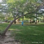 تصویر کاربر با کد 1028865