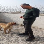 تصویر کاربر با کد 1032604